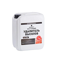 PROSEPT SALT CLEANER очиститель фасадов 1:2, 5л